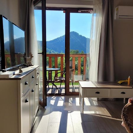 Apartament Homole E6 什恰夫尼察 外观 照片